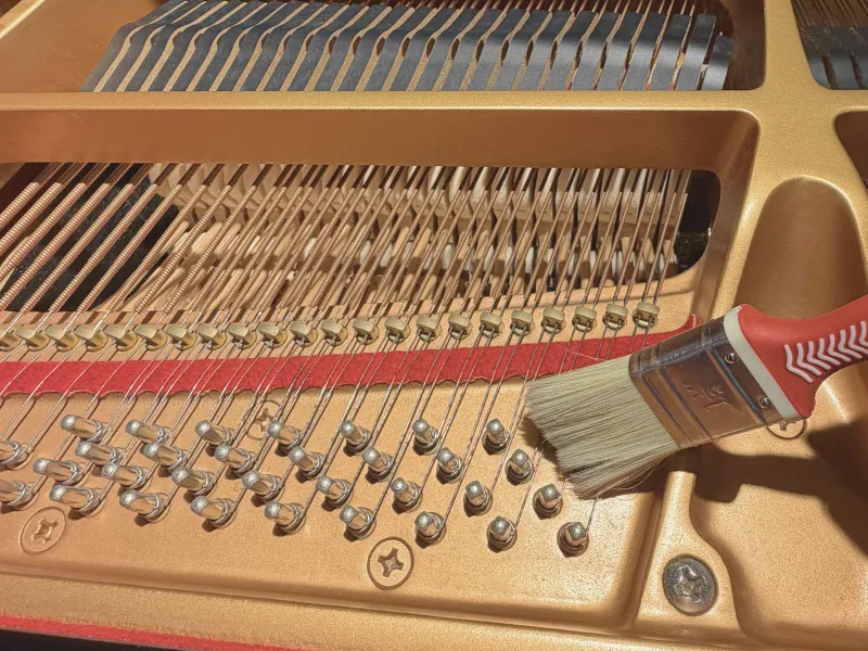 Piano polishing, waxing and deep cleaning