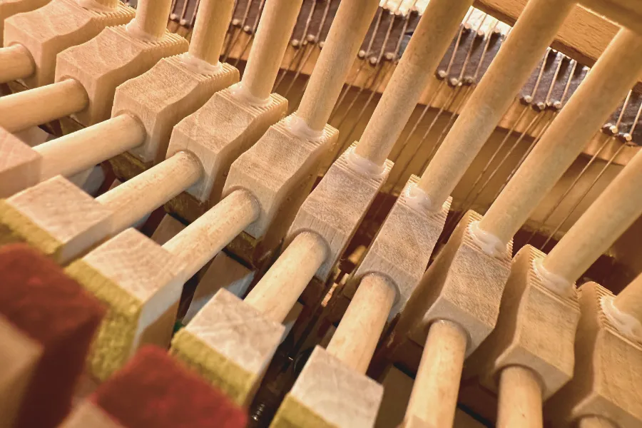 Piano interior deep cleaning service
