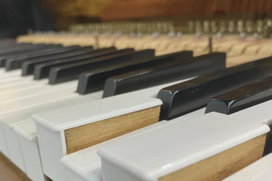Piano fault diagnosis and parts inspection